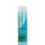 Schon Shampoo Green Tea and Mint for Oily Hair 400ml